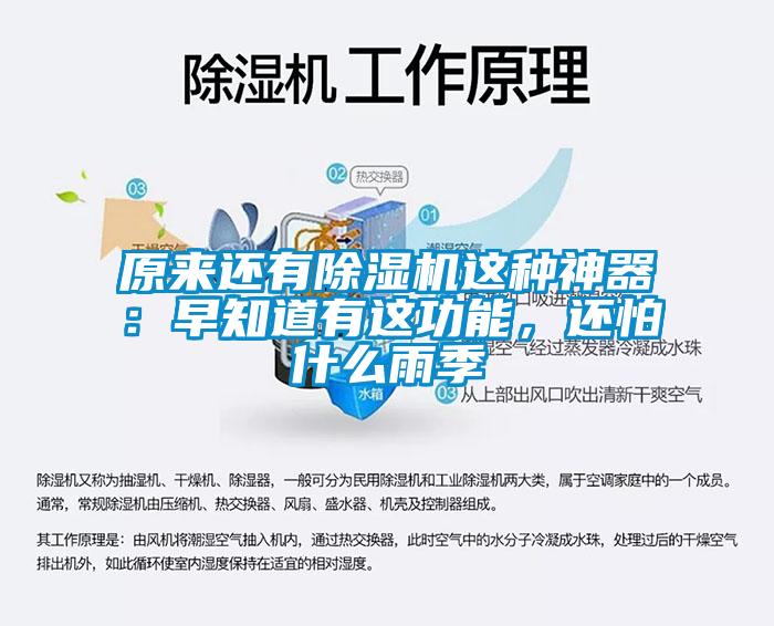 原来还有除湿机这种神器:早知道有这功能,还怕什么雨季