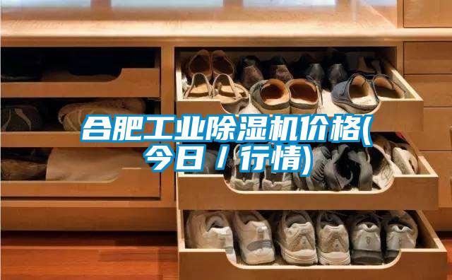 合肥工业除湿机价格(今日/行情)
