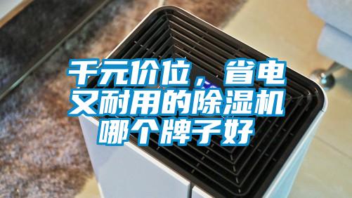 千元价位,省电又耐用的除湿机哪个牌子好