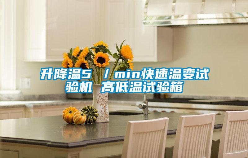 升降温5℃/min快速温变试验机 高低温试验箱