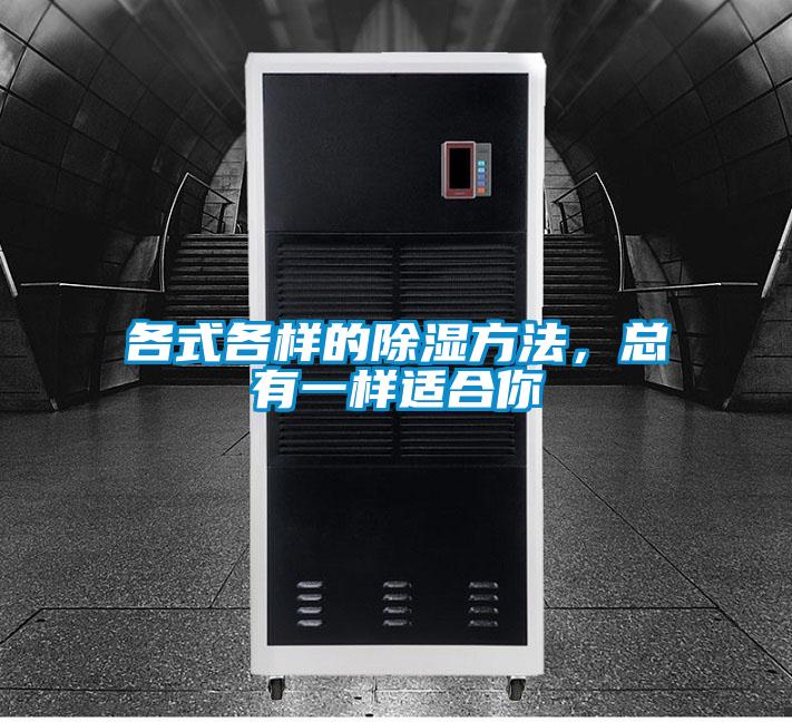 各式各样的除湿方法,总有一样适合你
