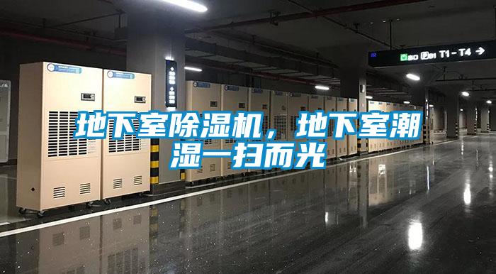 地下室除湿机,地下室潮湿一扫而光