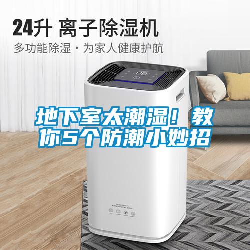地下室太潮湿!教你5个防潮小妙招