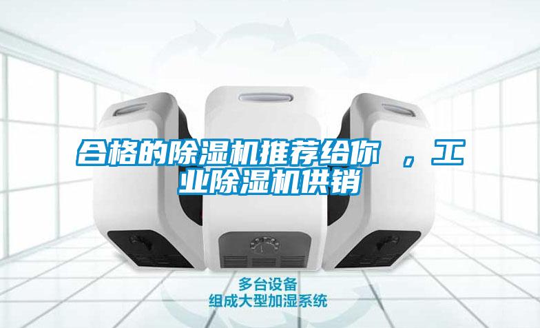 合格的除湿机推荐给你 ,工业除湿机供销