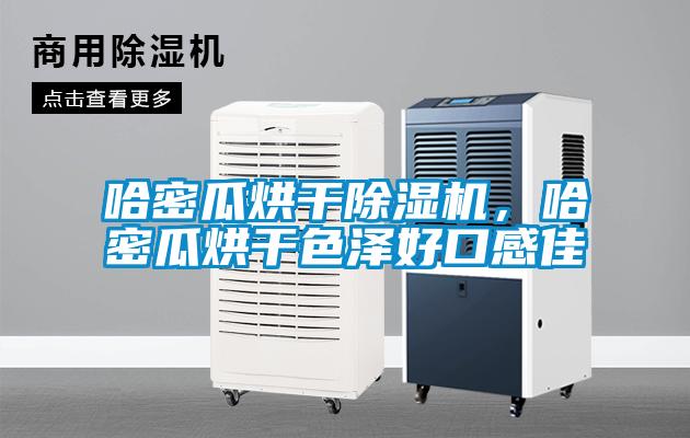 哈密瓜烘干除湿机,哈密瓜烘干色泽好口感佳