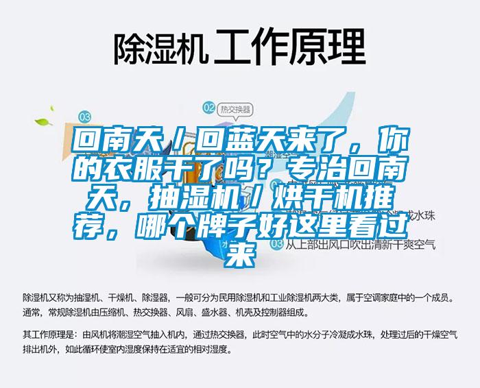 回南天/回蓝天来了,你的衣服干了吗?专治回南天,抽湿机/烘干机推荐,哪个牌子好这里看过来