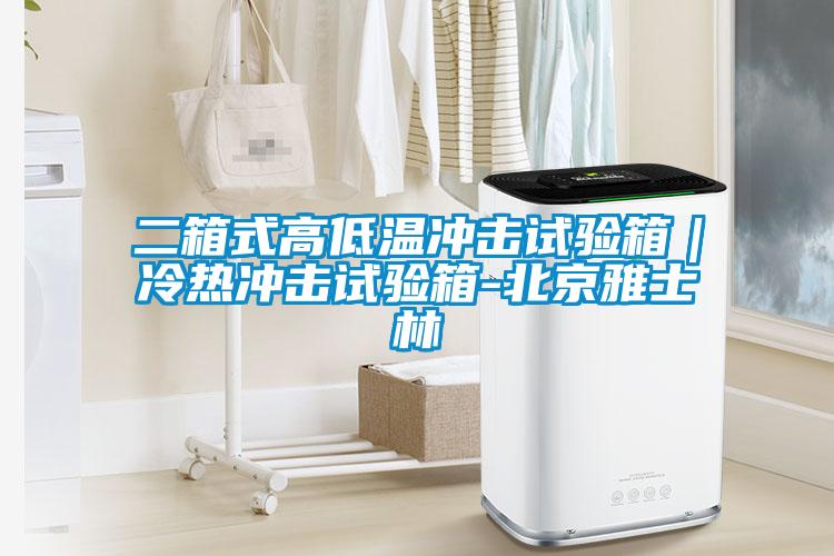 二箱式高低温冲击试验箱|冷热冲击试验箱-北京雅士林