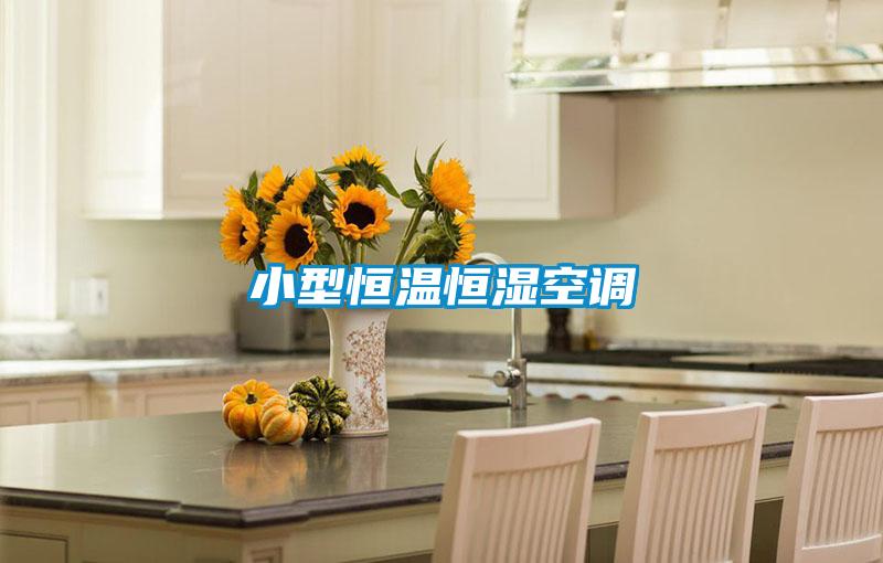 小型恒温恒湿空调