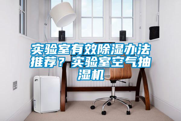 实验室有效除湿办法推荐?实验室空气抽湿机