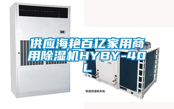 供应海艳百亿家用商用除湿机HYBY-40L