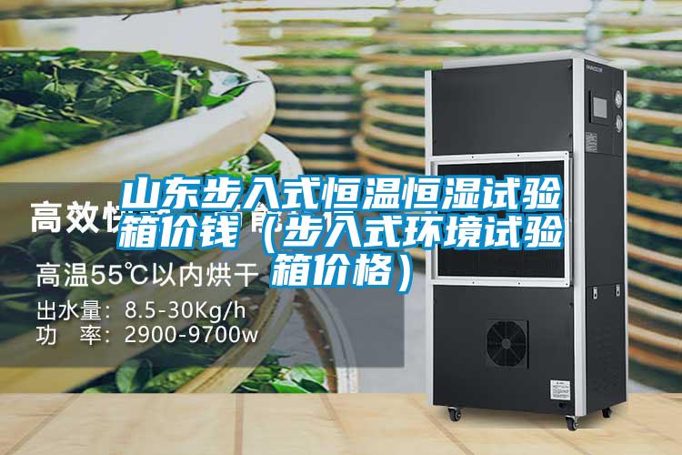 山东步入式恒温恒湿试验箱价钱(步入式环境试验箱价格)