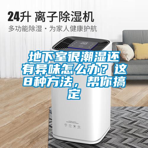 地下室很潮湿还有异味怎么办?这8种方法,帮你搞定
