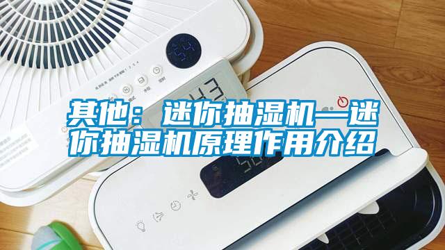 其他:迷你抽湿机—迷你抽湿机原理作用介绍