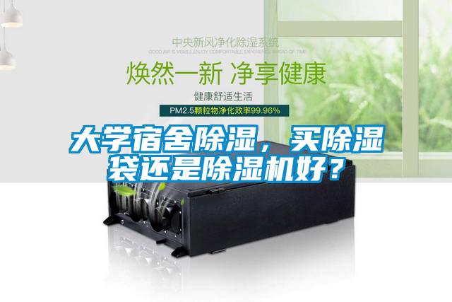 大学宿舍除湿,买除湿袋还是除湿机好?