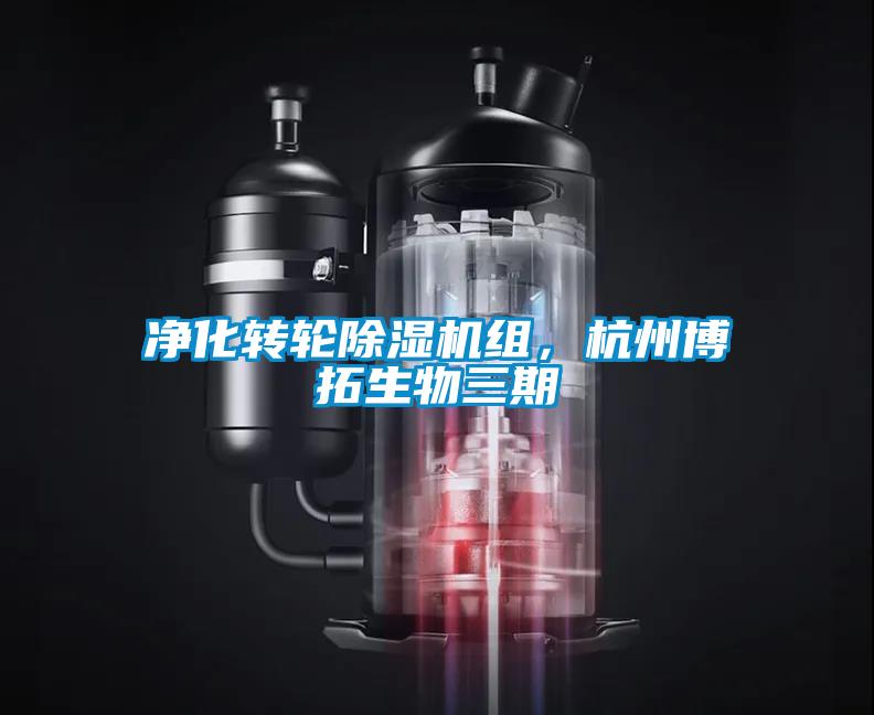 净化转轮除湿机组,杭州博拓生物三期