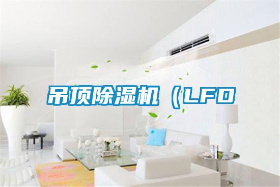 吊顶除湿机(LFD
