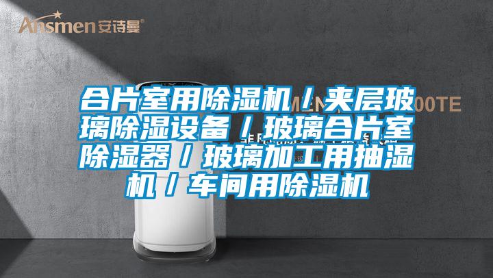 合片室用除湿机/夹层玻璃除湿设备/玻璃合片室除湿器/玻璃加工用抽湿机/车间用除湿机