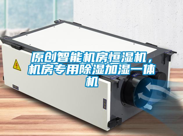原创智能机房恒湿机,机房专用除湿加湿一体机