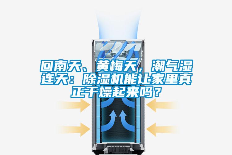 回南天、黄梅天,潮气湿连天:除湿机能让家里真正干燥起来吗?