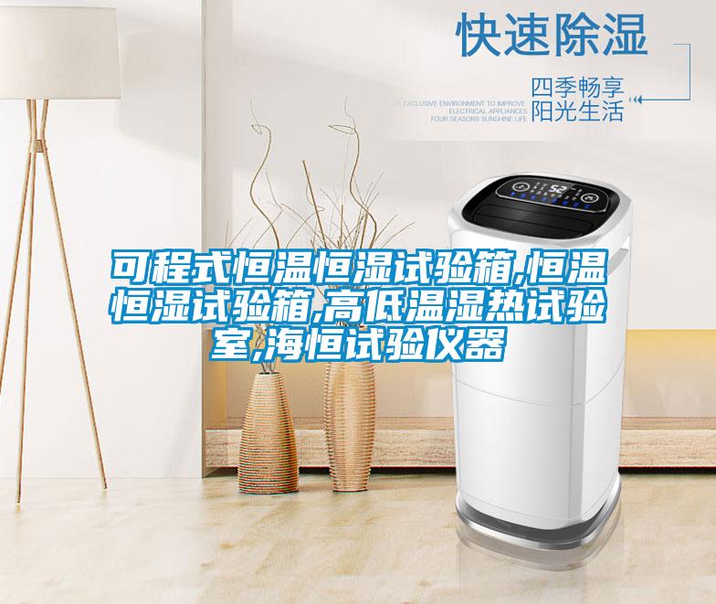 可程式恒温恒湿试验箱,恒温恒湿试验箱,高低温湿热试验室,海恒试验仪器