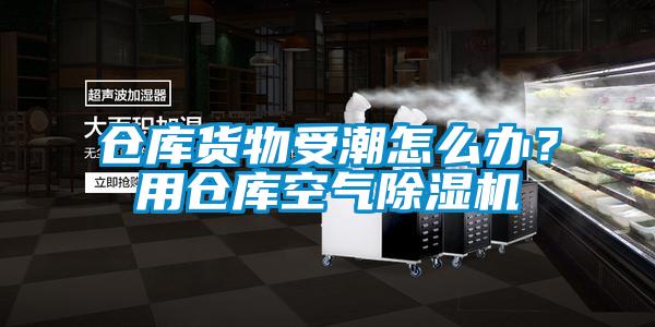 仓库货物受潮怎么办?用仓库空气除湿机