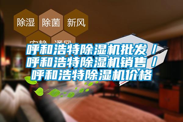 呼和浩特除湿机批发/呼和浩特除湿机销售/呼和浩特除湿机价格