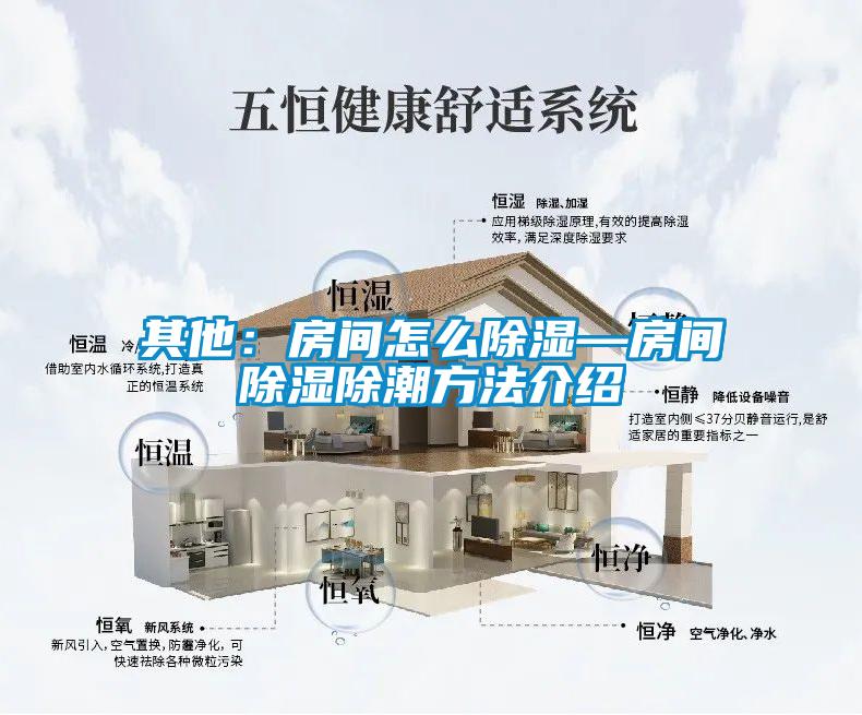 其他:房间怎么除湿—房间除湿除潮方法介绍