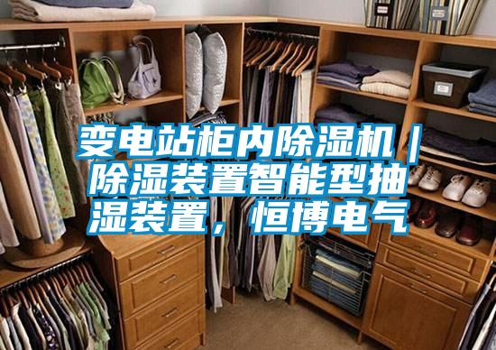 变电站柜内除湿机|除湿装置智能型抽湿装置,恒博电气