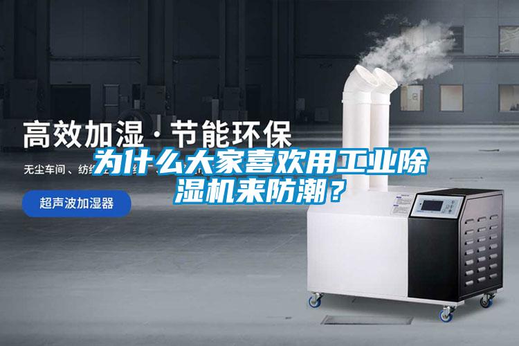 为什么大家喜欢用工业除湿机来防潮?