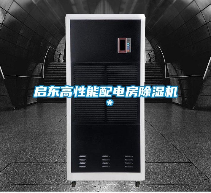 启东高性能配电房除湿机*
