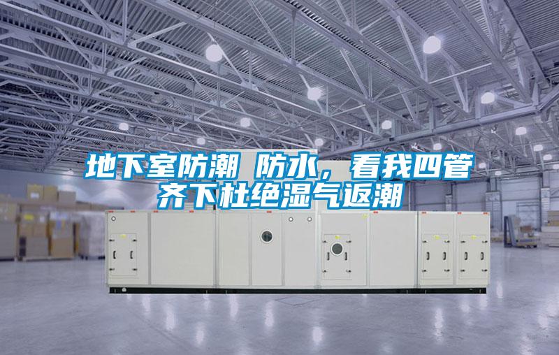 地下室防潮≠防水,看我四管齐下杜绝湿气返潮