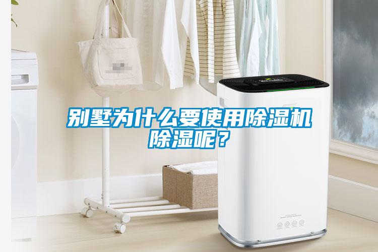别墅为什么要使用除湿机除湿呢?