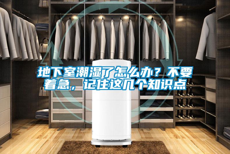 地下室潮湿了怎么办?不要着急,记住这几个知识点