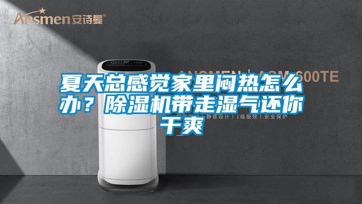 夏天总感觉家里闷热怎么办?除湿机带走湿气还你干爽
