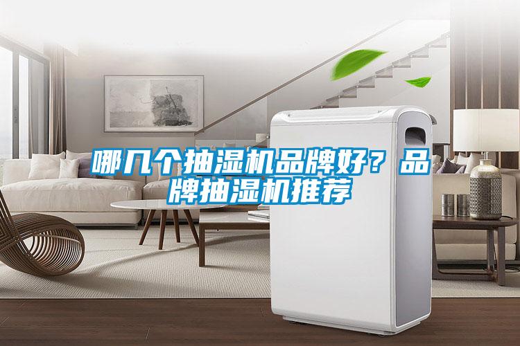 哪几个抽湿机品牌好?品牌抽湿机推荐