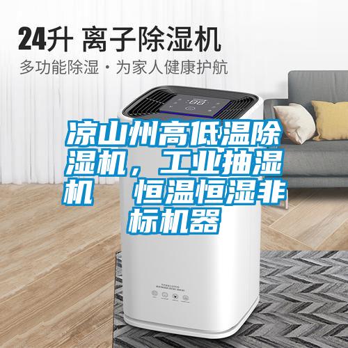 凉山州高低温除湿机,工业抽湿机  恒温恒湿非标机器