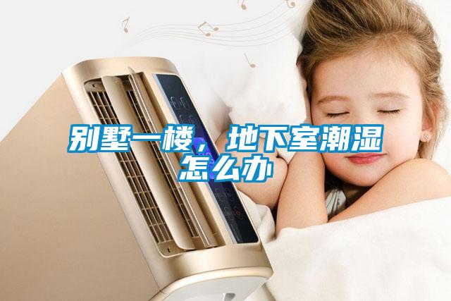 别墅一楼,地下室潮湿怎么办