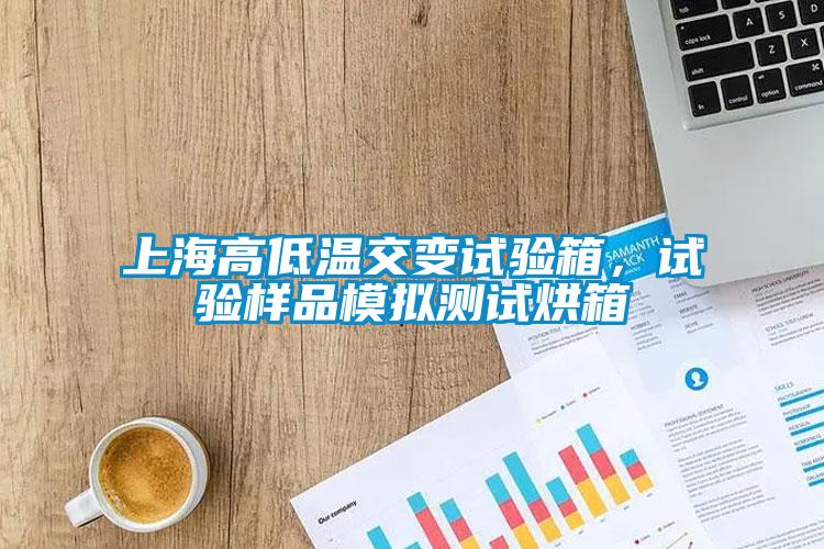 上海高低温交变试验箱,试验样品模拟测试烘箱