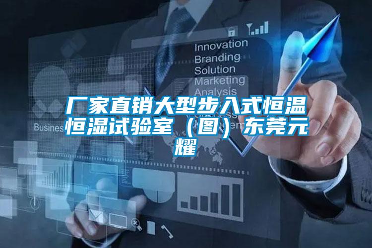 厂家直销大型步入式恒温恒湿试验室(图)东莞元耀