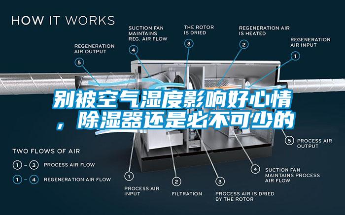 别被空气湿度影响好心情,除湿器还是必不可少的