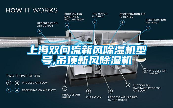 上海双向流新风除湿机型号,吊顶新风除湿机