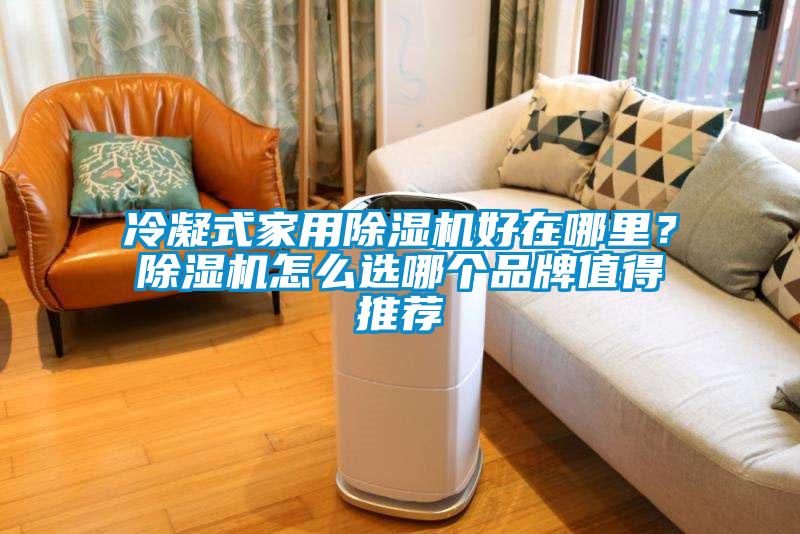 冷凝式家用除湿机好在哪里?除湿机怎么选哪个品牌值得推荐