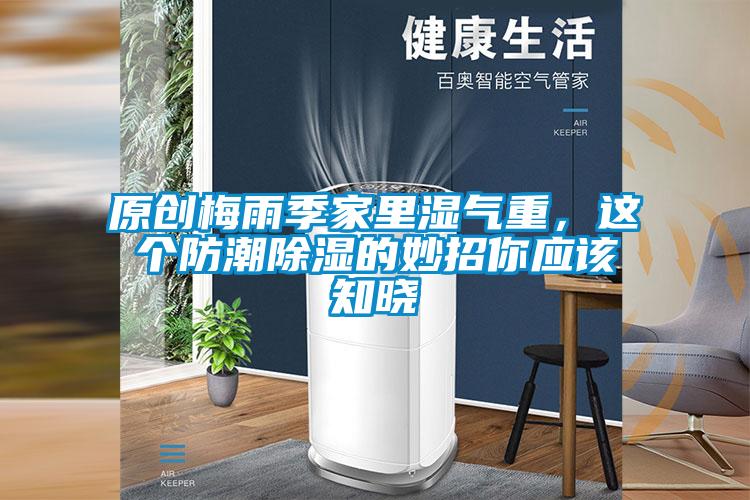 原创梅雨季家里湿气重,这个防潮除湿的妙招你应该知晓