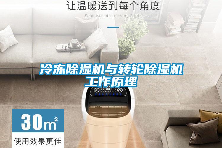 冷冻除湿机与转轮除湿机工作原理