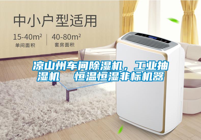 凉山州车间除湿机,工业抽湿机  恒温恒湿非标机器
