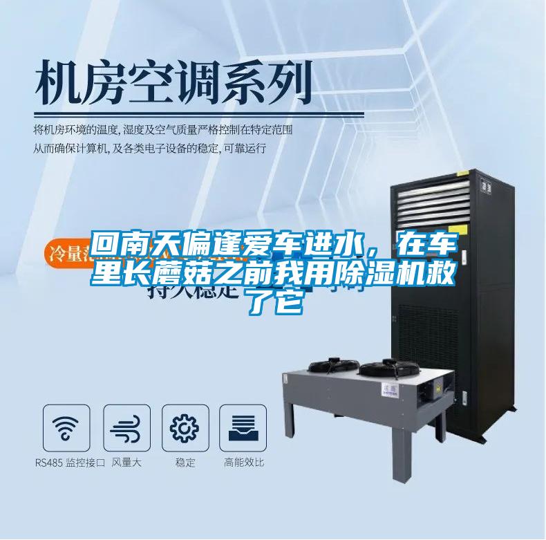 回南天偏逢爱车进水,在车里长蘑菇之前我用除湿机救了它