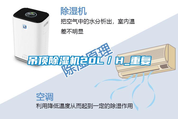 吊顶除湿机20L/H_重复