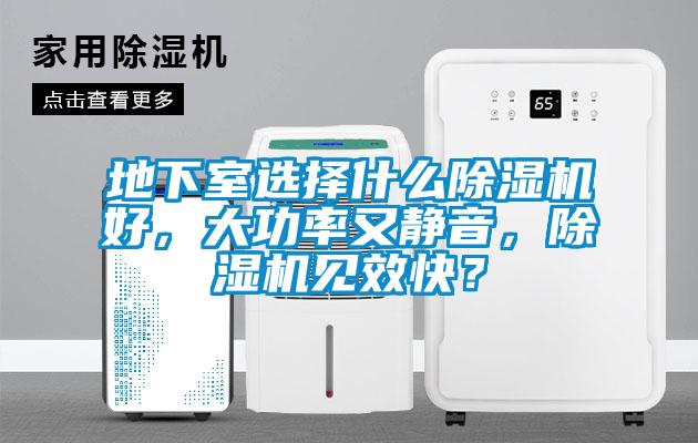 地下室选择什么除湿机好,大功率又静音,除湿机见效快?