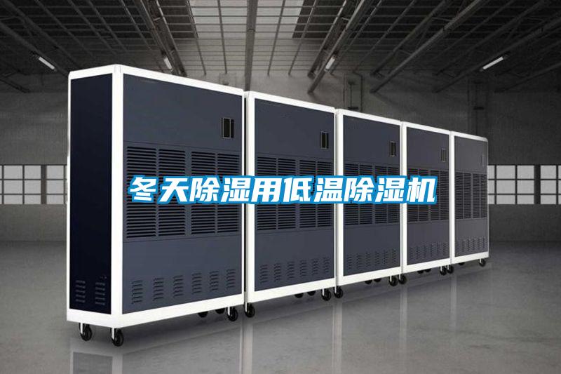 冬天除湿用低温除湿机