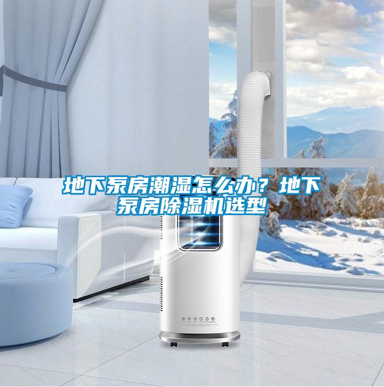 地下泵房潮湿怎么办?地下泵房除湿机选型